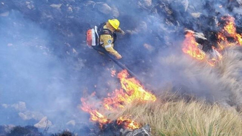 Los bomberos combaten el fuego en Córdoba.