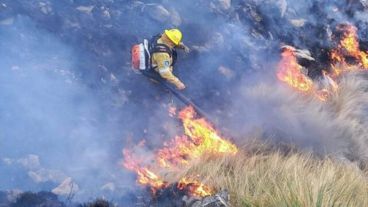 Los bomberos combaten el fuego en Córdoba.