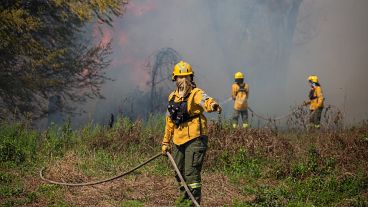 "Ya tenemos 30 brigadistas forestales trabajando", indicaron.