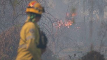 "Ya tenemos 30 brigadistas forestales trabajando", indicaron.