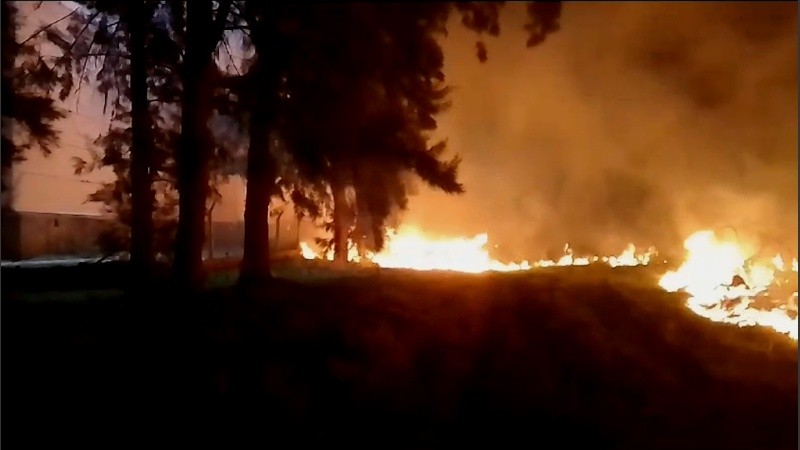 El fuego alcanzó una zona del bosque municipal.