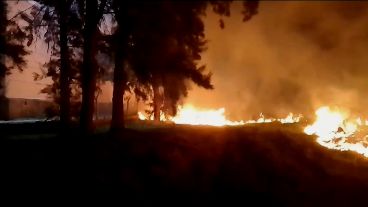 El fuego alcanzó una zona del bosque municipal.