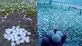 Una granizada con piedras del tamaño de pelotas de golf azotó localidades santafesinas y hasta mató animales