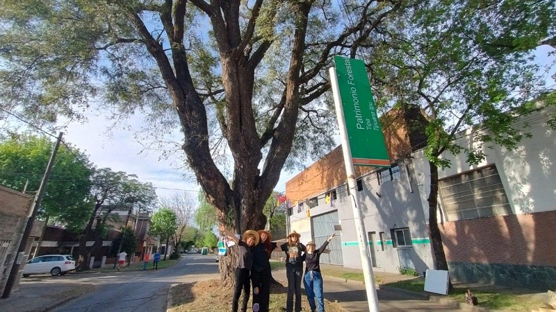 Festejaron los 100 años de la histórica Tipa de Bella Vista.