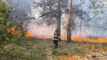 Un nuevo incendio se desató en el Bosque de los Constituyentes, tras el trabajo de los especialistas fue controlado.