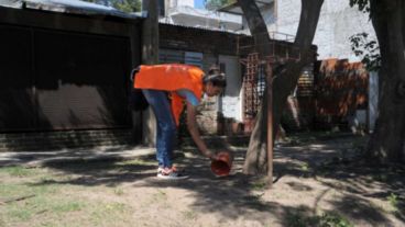 Eliminar reservorios en cada casa es clave para combatir al mosquito transmisor.