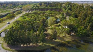 El Bosque es un área protegida, el pulmón verde más grande que tiene la ciudad.