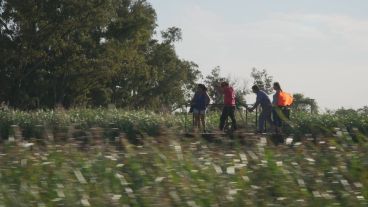 “La zorra y la pampa” se presenta esta semana en el cine El Cairo.