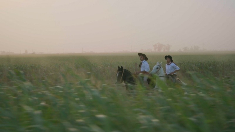 “La zorra y la pampa” se presenta esta semana en el cine El Cairo.