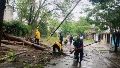 Árboles caídos y varios daños por las lluvias persistentes de la madrugada