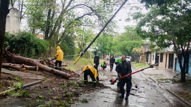 Las cuadrillas municipales trabajan en distintos barrios de la ciudad.