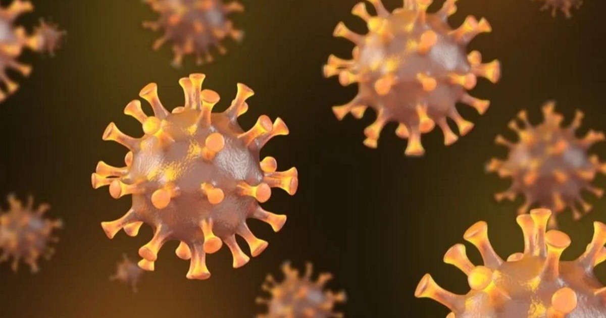 What is Influenza B, the virus that the 13-year-old student contracted on her graduate trip to Córdoba?