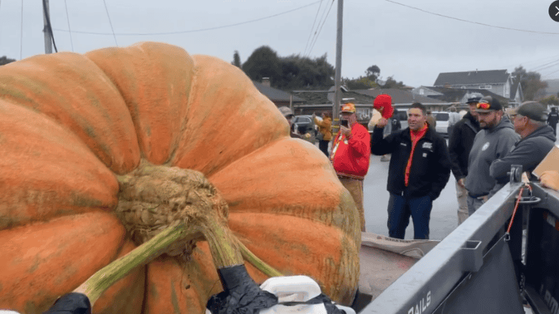 Gienger también ostenta el récord Mundial Guinness de la calabaza más pesada.