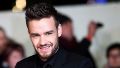 Quién era Liam Payne, el ex músico de One Direction que murió en Argentina