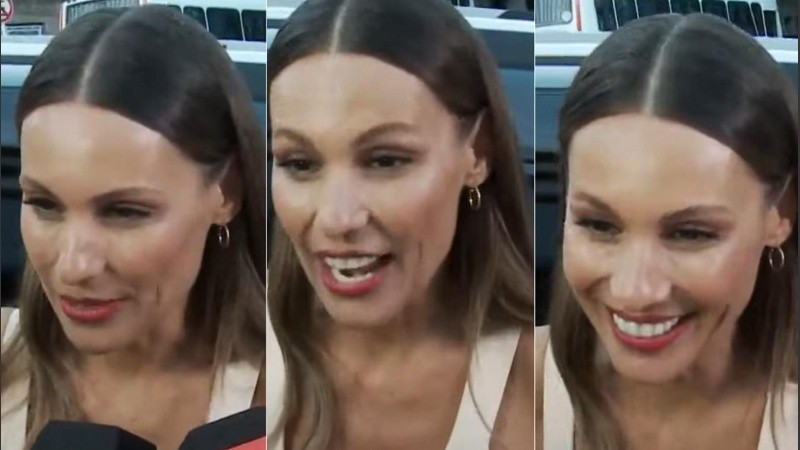 La modelo y empresario Carolina Pampita Ardohain.