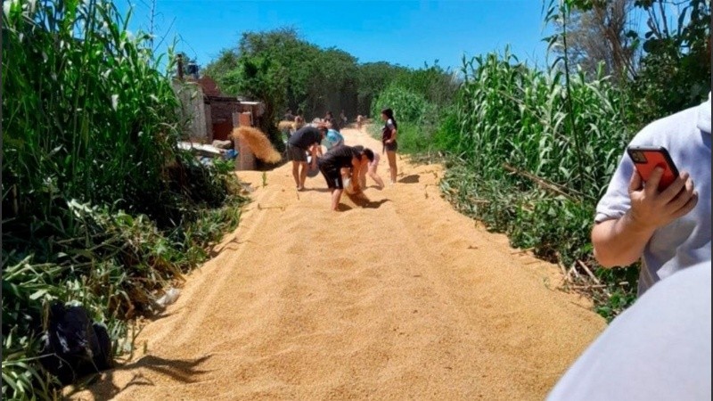 Al arribar, había 10 personas cargando cereal en bolsas arpilleras y en dos rodados, un camión Mercedes Benz 1114 con acoplado y una pick up marca Peugeot modelo 504.