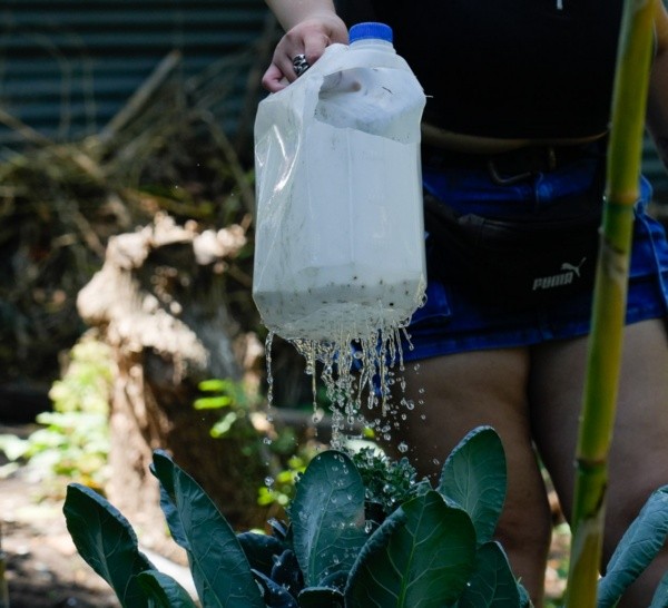 Regar, abonar la tierra, generar compost, armar plantines; parte de las actividades.