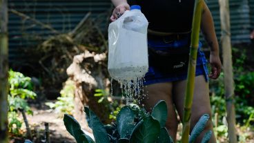 Regar, abonar la tierra, generar compost, armar plantines; parte de las actividades.