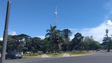 El árbol se inaugura en menos de 15 días.