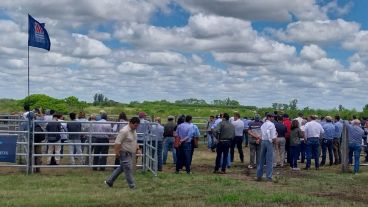 Adorni confirmó un "plan de modernización" del Inta que incluye "la venta de edificios y tierras subutilizadas".