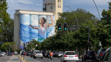 La obra del artista Martín Ron está llegando a su fin y así está quedando.