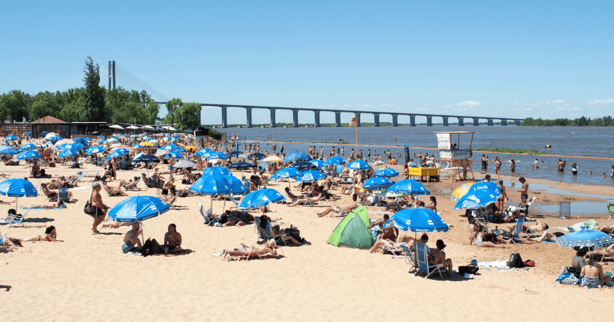 Verano en La Florida: Agenda con cine, música en vivo, talleres y deportes al aire libre