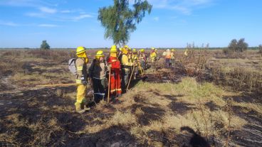 Así quedaron varios sectores de la isla arrasados por el fuego desde el jueves.