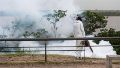 Aumentan los mosquitos en zonas de Rosario, pero descartan “una invasión”