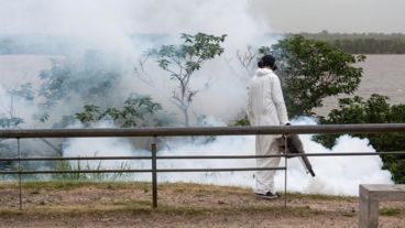 Las fumigaciones que se realizan de forma sostenida evitaron que la temporada estival tenga cantidades preocupantes de mosquitos.