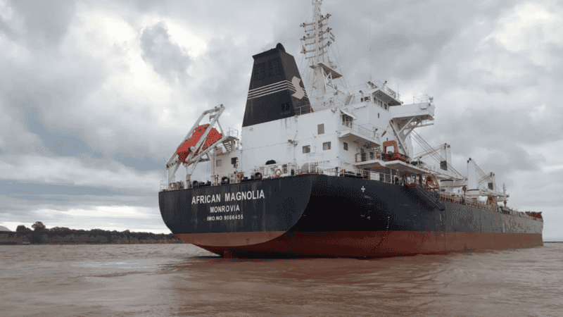 El African Magnolia, un bulk carrier o granelero con bandera de Liberia.